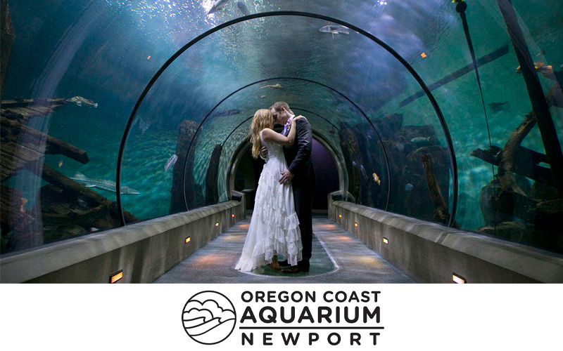 Oregon Coast Aquarium Brochure Cover 2022