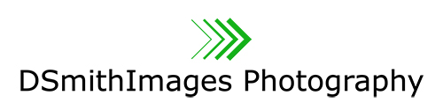 DSmithImages Photography Feature Logo